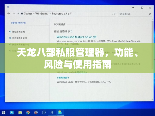 天龙八部私服管理器，功能、风险与使用指南  第3张