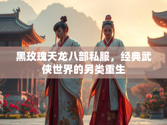黑玫瑰天龙八部私服，经典武侠世界的另类重生  第1张
