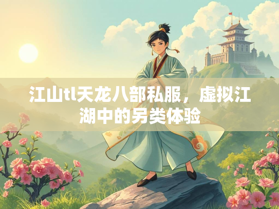 江山tl天龙八部私服，虚拟江湖中的另类体验  第1张