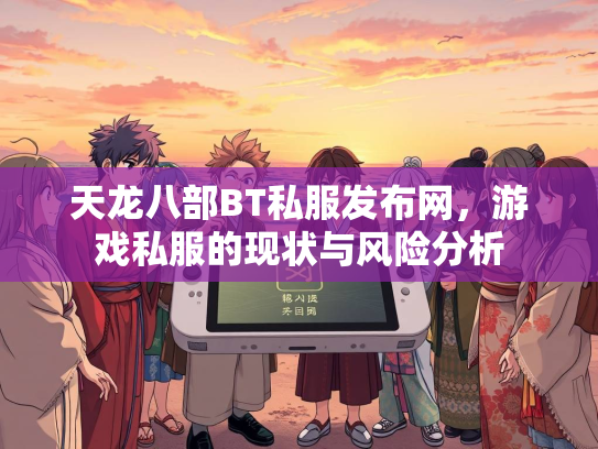 天龙八部BT私服发布网，游戏私服的现状与风险分析