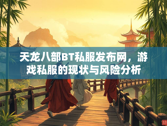 天龙八部BT私服发布网，游戏私服的现状与风险分析
