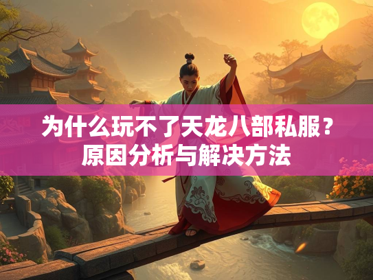 为什么玩不了天龙八部私服？原因分析与解决方法