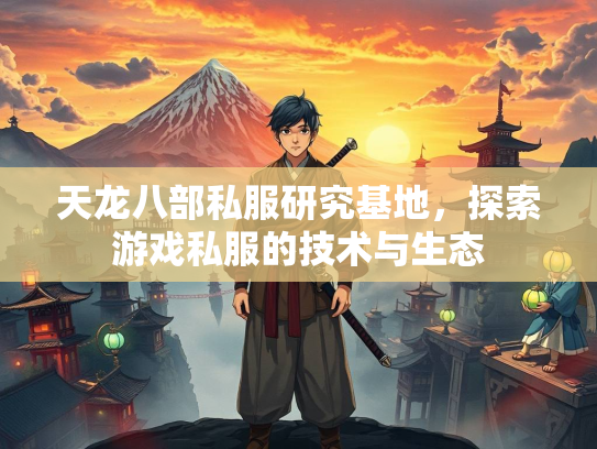 天龙八部私服研究基地，探索游戏私服的技术与生态  第2张