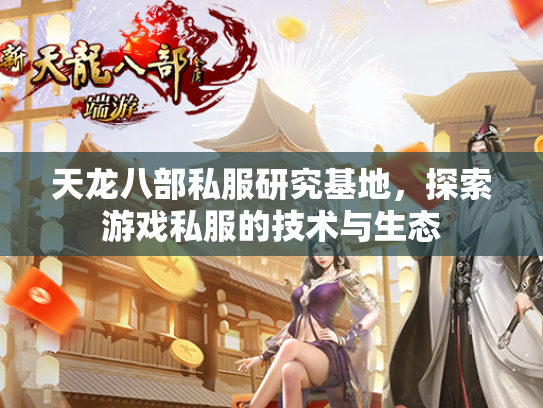 天龙八部私服研究基地，探索游戏私服的技术与生态  第3张