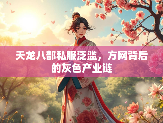 天龙八部私服泛滥，方网背后的灰色产业链  第2张