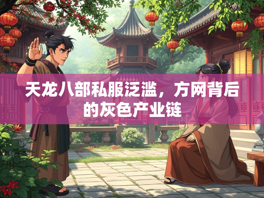 天龙八部私服泛滥，方网背后的灰色产业链  第3张