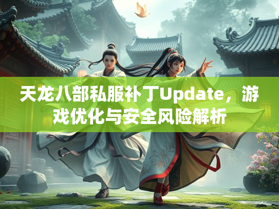 天龙八部私服补丁Update，游戏优化与安全风险解析  第3张