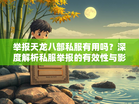 举报天龙八部私服有用吗？深度解析私服举报的有效性与影响  第2张
