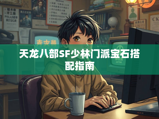 天龙八部SF少林门派宝石搭配指南  第1张