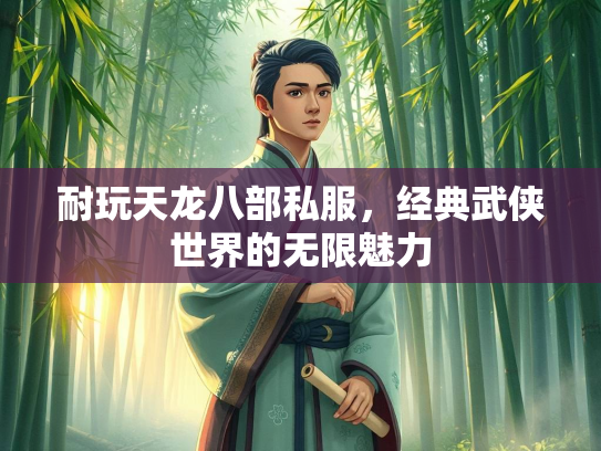 耐玩天龙八部私服，经典武侠世界的无限魅力  第2张
