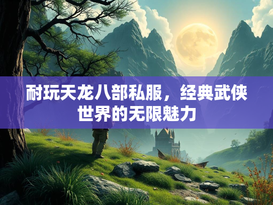 耐玩天龙八部私服，经典武侠世界的无限魅力  第1张