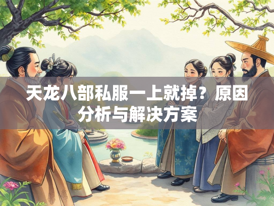 天龙八部私服一上就掉？原因分析与解决方案  第1张