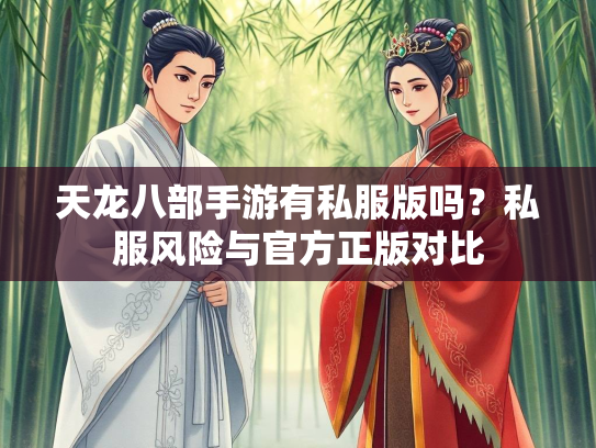 天龙八部手游有私服版吗？私服风险与官方正版对比  第1张