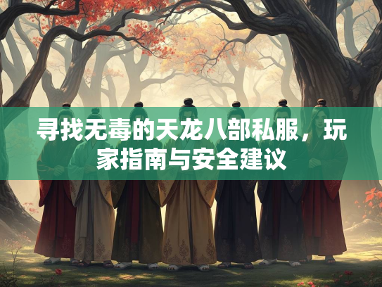 寻找无毒的天龙八部私服，玩家指南与安全建议  第1张