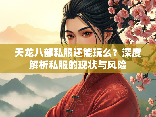 天龙八部私服还能玩么？深度解析私服的现状与风险  第2张