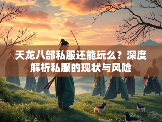天龙八部私服还能玩么？深度解析私服的现状与风险  第1张