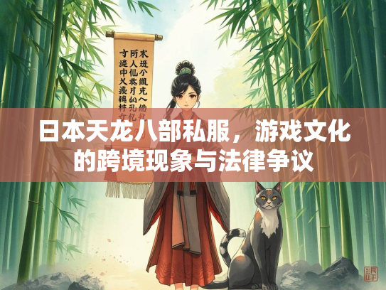 日本天龙八部私服，游戏文化的跨境现象与法律争议  第1张