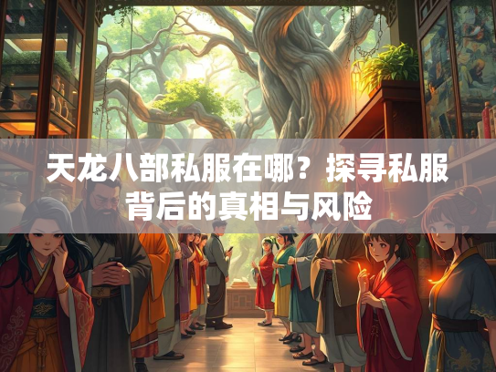 天龙八部私服在哪？探寻私服背后的真相与风险  第1张