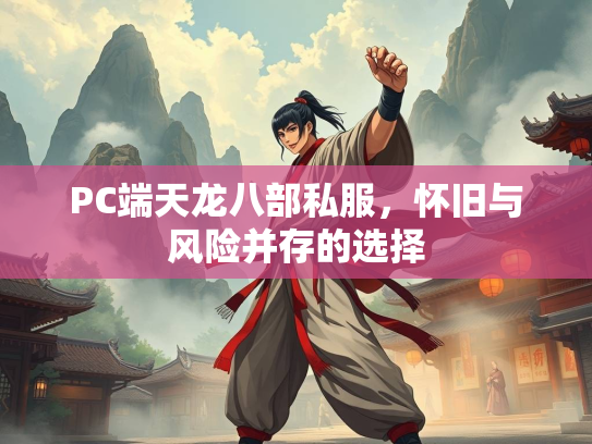 PC端天龙八部私服，怀旧与风险并存的选择  第2张