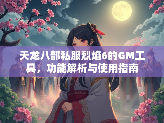 天龙八部私服烈焰6的GM工具，功能解析与使用指南  第2张