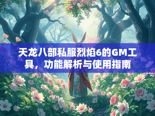天龙八部私服烈焰6的GM工具，功能解析与使用指南  第1张