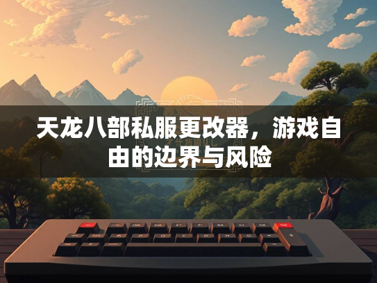 天龙八部私服更改器，游戏自由的边界与风险  第2张