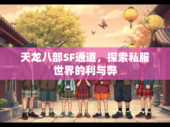 天龙八部SF通道，探索私服世界的利与弊  第2张