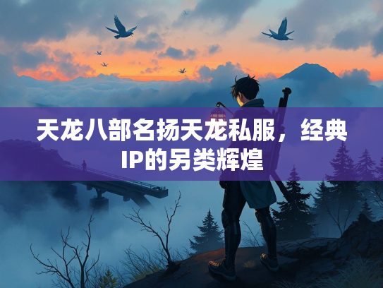 天龙八部名扬天龙私服，经典IP的另类辉煌  第2张