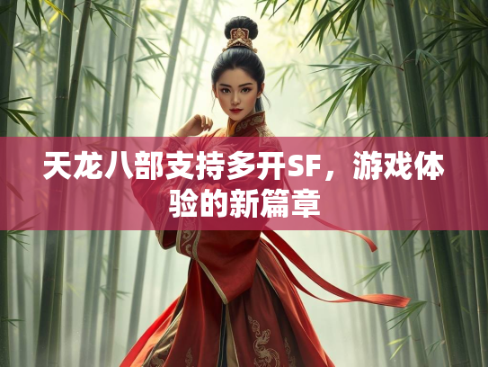 天龙八部支持多开SF，游戏体验的新篇章  第2张