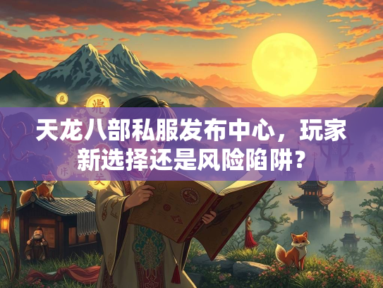 天龙八部私服发布中心，玩家新选择还是风险陷阱？  第2张