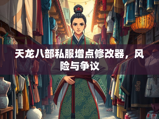 天龙八部私服增点修改器，风险与争议