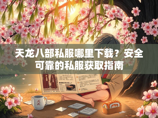 天龙八部私服哪里下载？安全可靠的私服获取指南  第1张