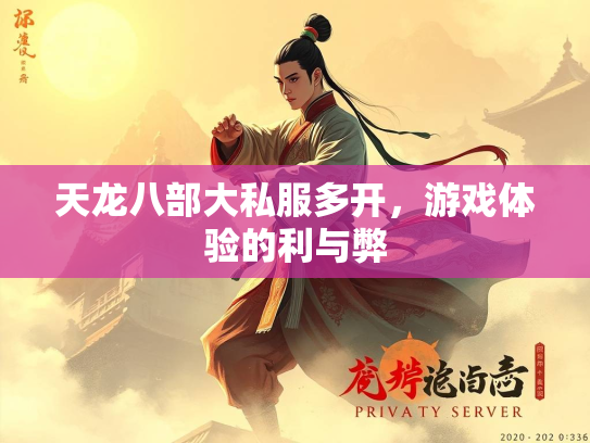 天龙八部大私服多开，游戏体验的利与弊  第1张