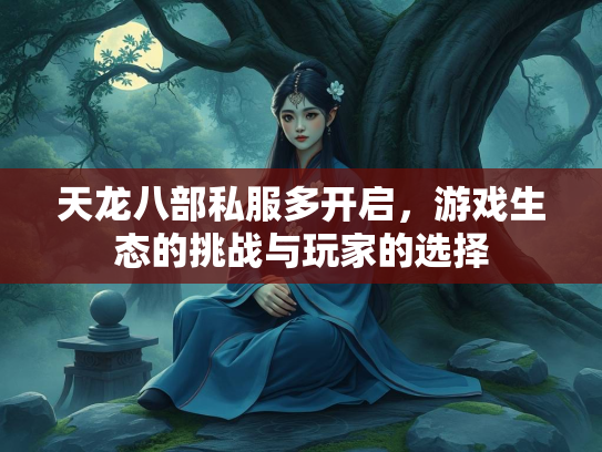 天龙八部私服多开启，游戏生态的挑战与玩家的选择  第2张