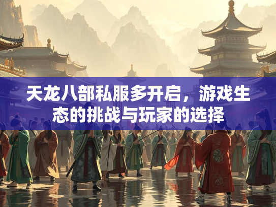 天龙八部私服多开启，游戏生态的挑战与玩家的选择  第1张