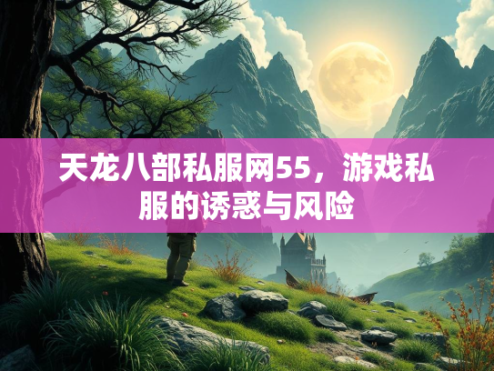 天龙八部私服网55，游戏私服的诱惑与风险  第4张
