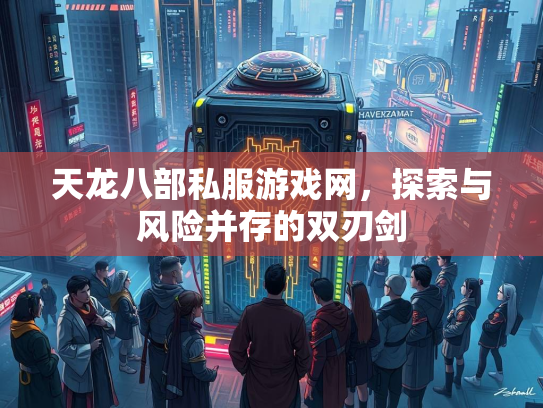天龙八部私服游戏网，探索与风险并存的双刃剑  第3张