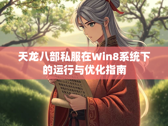 天龙八部私服在Win8系统下的运行与优化指南  第4张