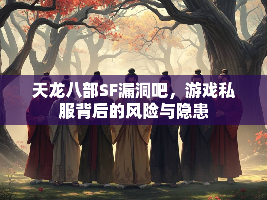 天龙八部SF漏洞吧，游戏私服背后的风险与隐患  第4张