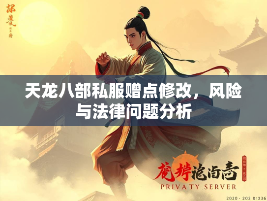 天龙八部私服赠点修改，风险与法律问题分析  第3张