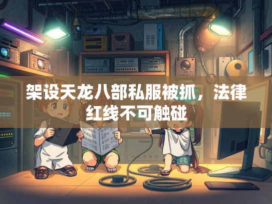 架设天龙八部私服被抓，法律红线不可触碰  第4张