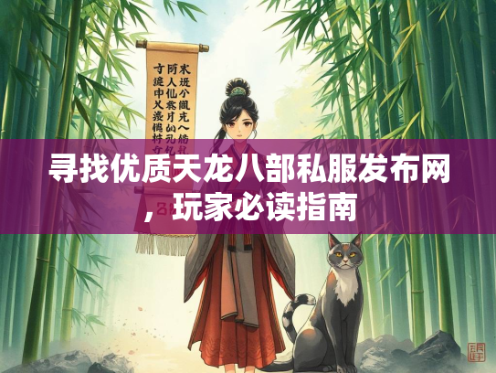 寻找优质天龙八部私服发布网，玩家必读指南  第3张
