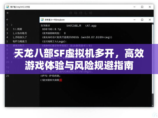 天龙八部SF虚拟机多开，高效游戏体验与风险规避指南  第1张