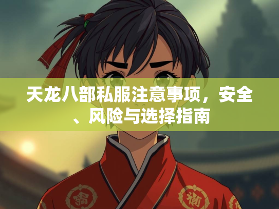 天龙八部私服注意事项，安全、风险与选择指南  第3张