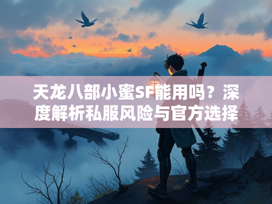 天龙八部小蜜SF能用吗？深度解析私服风险与官方选择  第2张