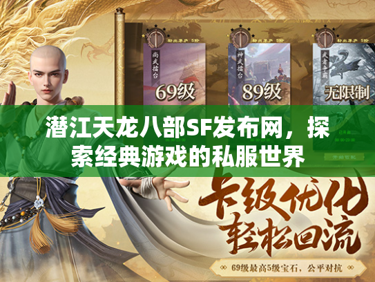 潜江天龙八部SF发布网，探索经典游戏的私服世界  第2张