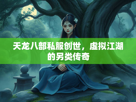 天龙八部私服创世，虚拟江湖的另类传奇  第2张