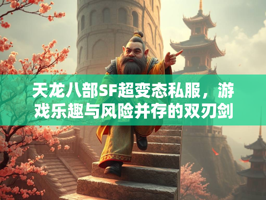 天龙八部SF超变态私服，游戏乐趣与风险并存的双刃剑  第1张