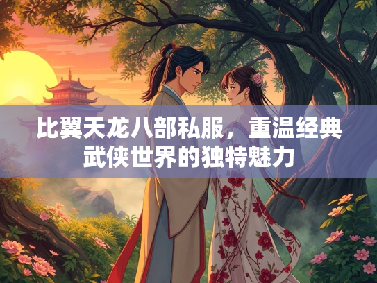 比翼天龙八部私服，重温经典武侠世界的独特魅力  第1张