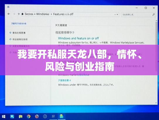 我要开私服天龙八部，情怀、风险与创业指南  第2张